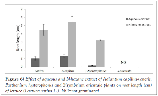 Agricultural-Biological-Sisymbrium