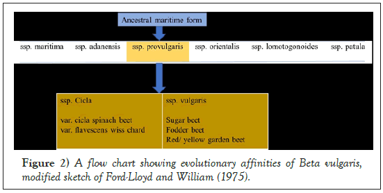 Agricultural-Biological-affinities