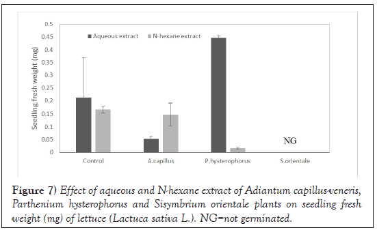 Agricultural-Biological-lettuce