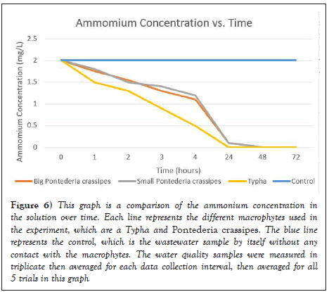 ammonium