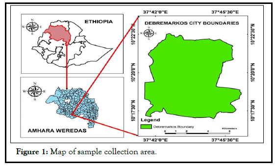 AGBIR-Map