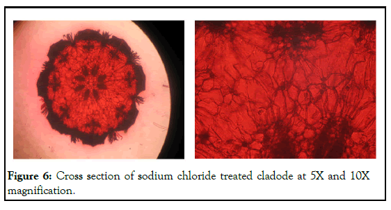 AGBIR-sodium