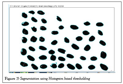 Histogram