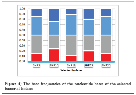 nucleotide