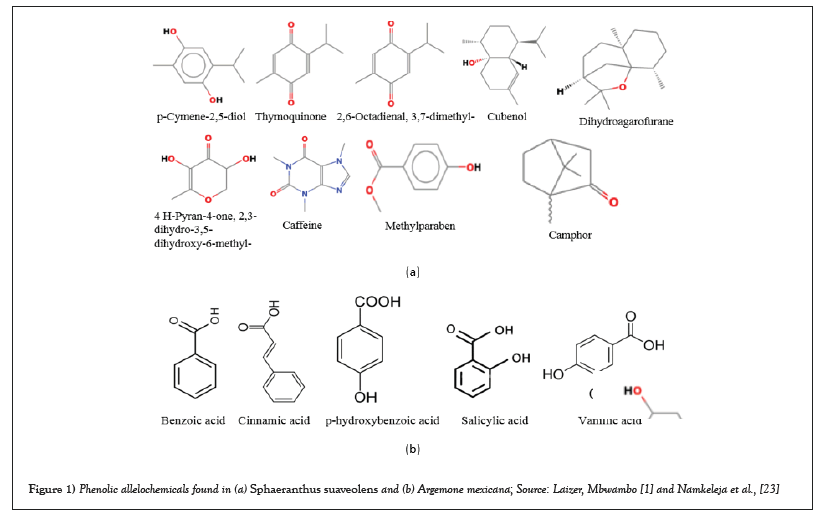 phenolic