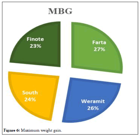 AGBIR-weight