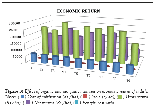 economic