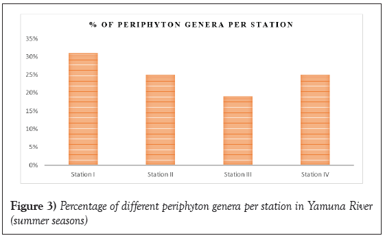 periphyton